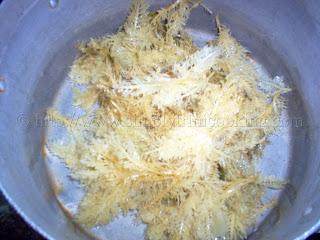 Delicious sea moss drink with coconut milk - Dominica Gourmet