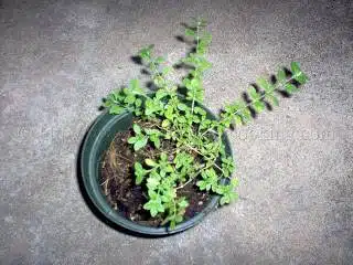 7af2b71ab1dd846e283b7e666f9af1fe