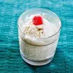 Soursop Ice Cream 1