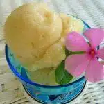 Most Creamy and Delicious Soursop Sorbet 15 Soursop Sorbet 1