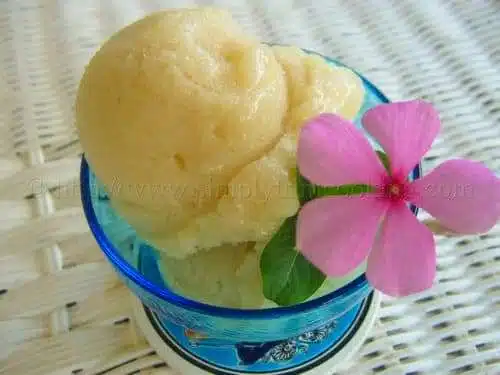 Soursop Sorbet 1