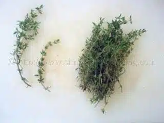 cf1f0332c8e54dc5fb62a64a2ac56066